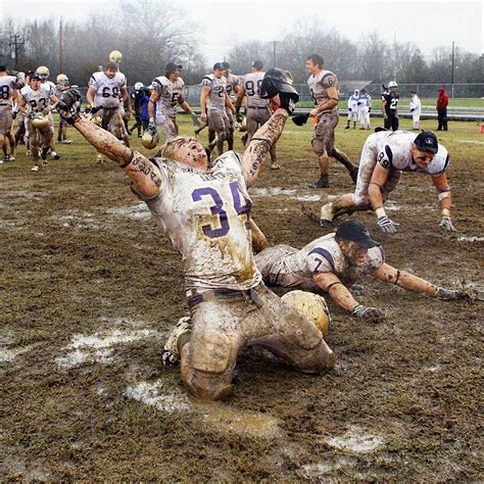 状态为科怀 状态为科怀