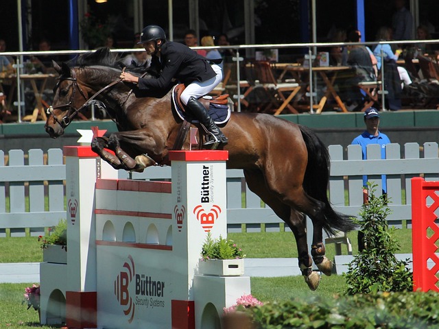 完美融合了 完美融合了