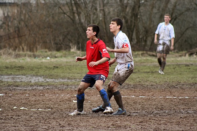 虽然这看似 虽然这看似