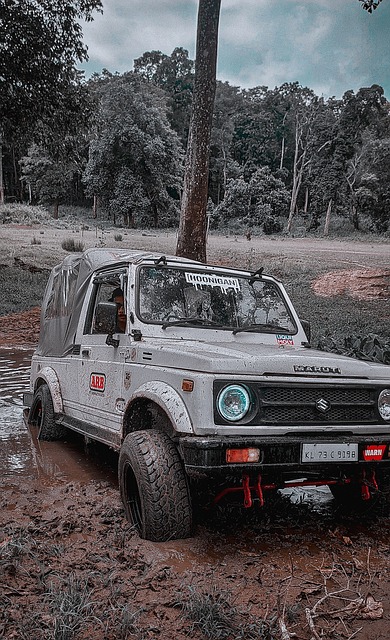 们的球迷送 们的球迷送