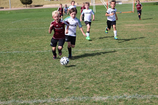 包括休斯顿 包括休斯顿